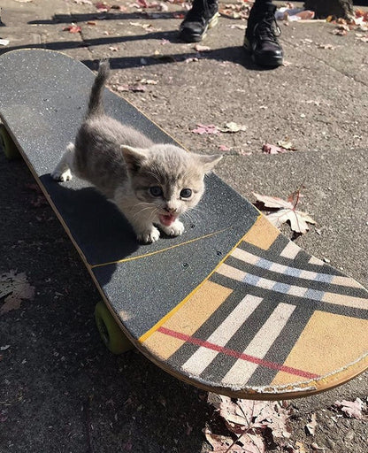 Brown Plaid Sandpaper Skateboard Sandpaper Ins Same Type Sandpaper Double Warped Longboard Diy