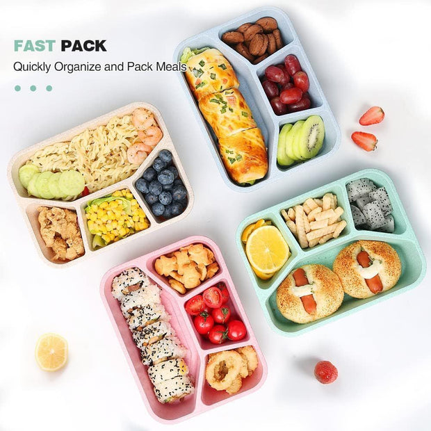 Simple Rectangular Compartment Lunch Boxes Fruit Container
