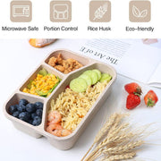 Simple Rectangular Compartment Lunch Boxes Fruit Container