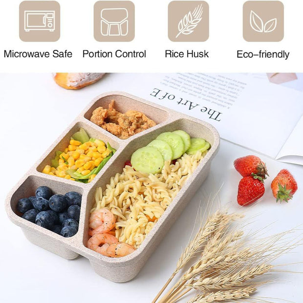 Simple Rectangular Compartment Lunch Boxes Fruit Container