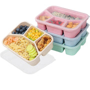 Simple Rectangular Compartment Lunch Boxes Fruit Container